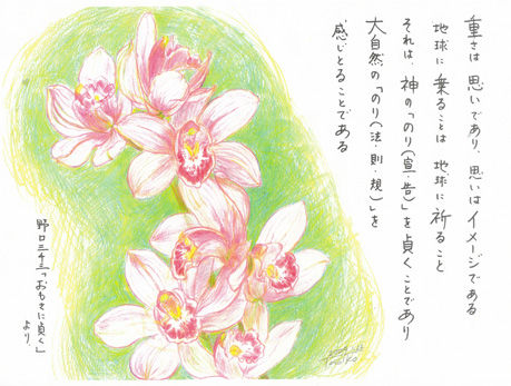 ����̑��C���X�g